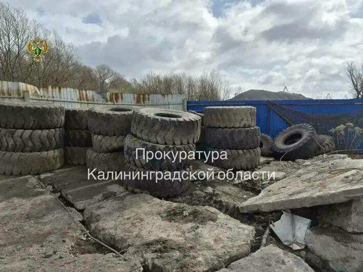 В Калининграде станция перегрузки отходов на Правой Набережной работала без проекта санитарной зоны - Новости Калининграда | Фото: канал прокуратуры Калининградской области / Телеграм