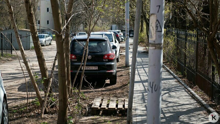 В районе улицы Фрунзе в Калининграде хотят построить новые парковки - Новости Калининграда | Фото: Александр Подгорчук / Архив «Клопс»