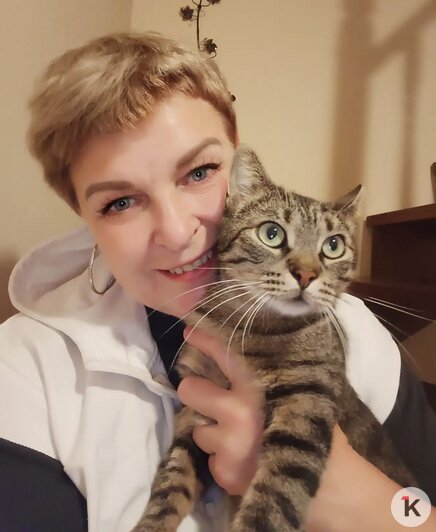 Полосатик, Котя, Крысатуля: калининградка Елена приютила 15 спасённых ею с улицы кошек (фото) - Новости Калининграда | Фото: архив героини материала