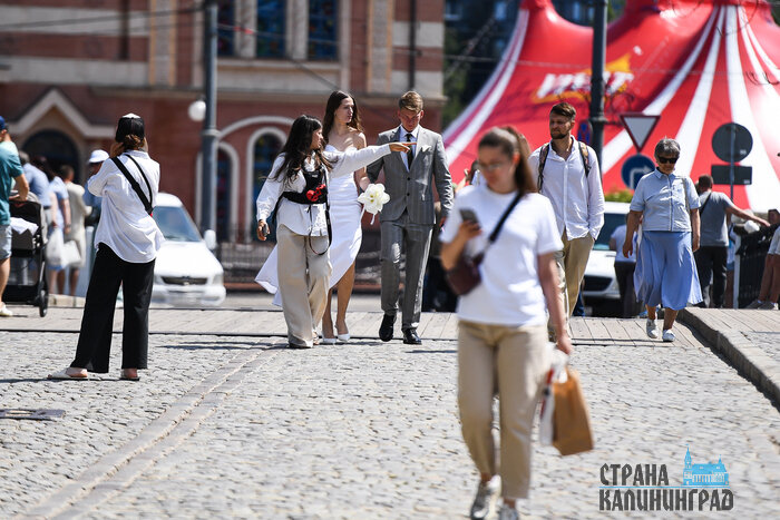 Красивые цифры: 26.06.2026 в Калининграде