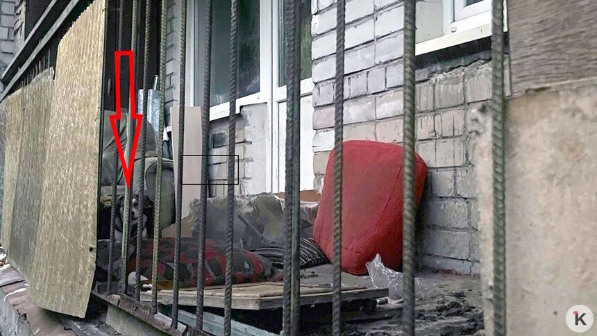 «Всё в грязи, собака воет»: в Калининграде дворнягу уже месяц держат взаперти на балконе (видео) - Новости Калининграда | Фото: очевидец