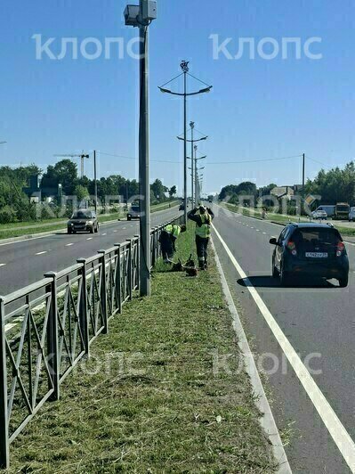 Калининградцу разбил окно в машине камень, вылетевший из-под косилки на въезде в Зеленоградск - Новости Калининграда | Фото читателя