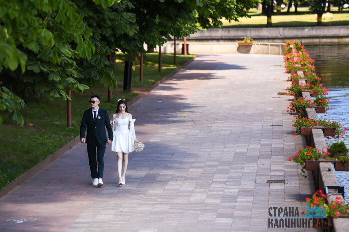 Красивые цифры: 26.06.2026 в Калининграде