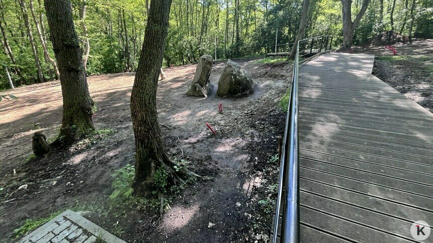 В Пионерском День города впервые начнут отмечать у Камня лжи и откроют необычный маршрут к морю - Новости Калининграда | Фото читателя