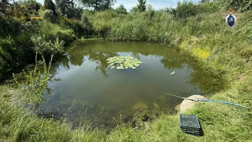 На частном пруду в Полесском районе утонула 6-летняя девочка | Фото: СУ СК России по Калининградской области