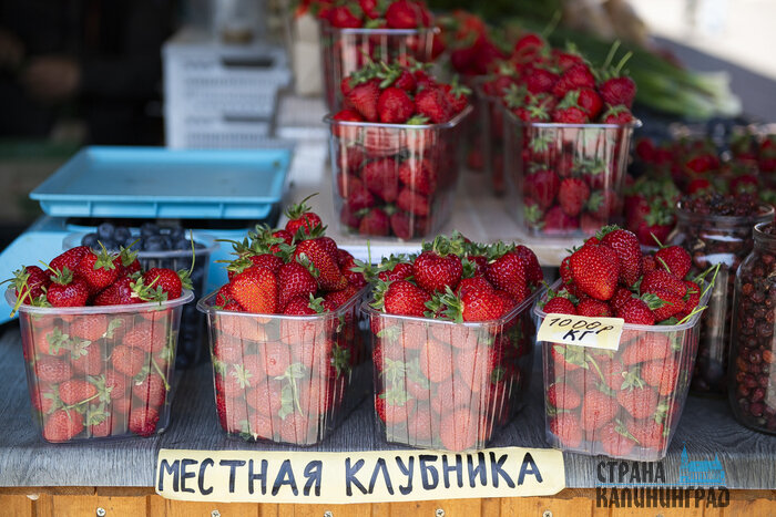 Клубника считается экологически чистым продуктом — из‑за этого фермеры всегда продают её дороже | Фото: Александр Подгорчук 