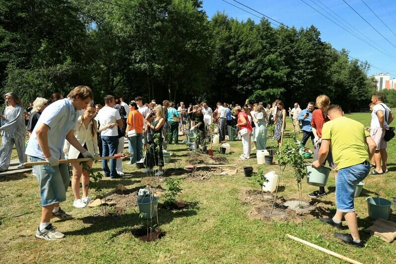 В Калининграде выпускники-медалисты высадили 150 кустов сирени у Летнего озера - Новости Калининграда | Фото предоставлено администрацией Калининграда