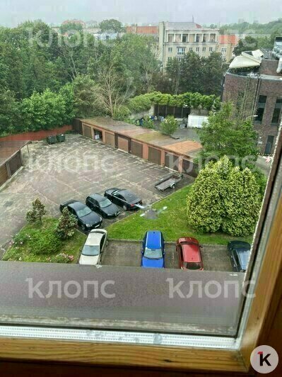 По мнению полицейского, стреляли из «воздушки»  | Фото: предоставила Ирина 