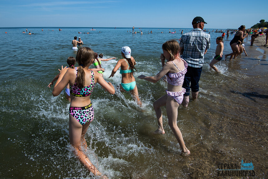 Для человека прмых угроз нет, но лучше после купаний в море принять душ. | Фото: Александр Подгорчук 