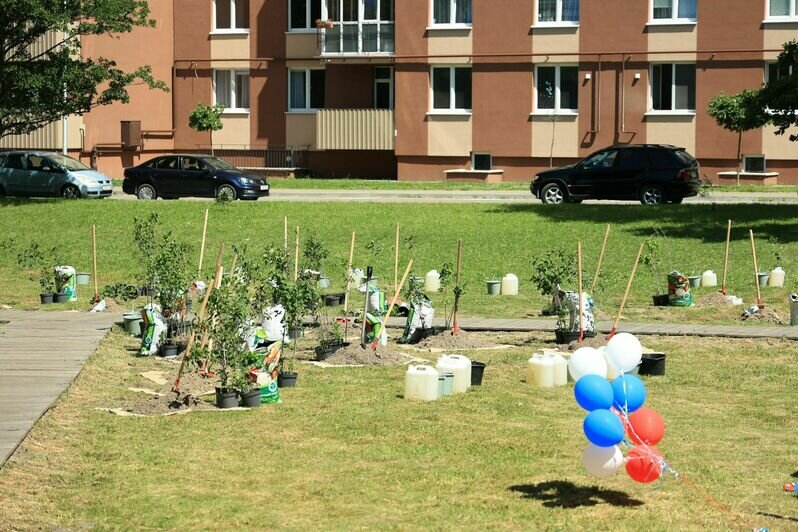 В Калининграде выпускники-медалисты высадили 150 кустов сирени у Летнего озера - Новости Калининграда | Фото предоставлено администрацией Калининграда