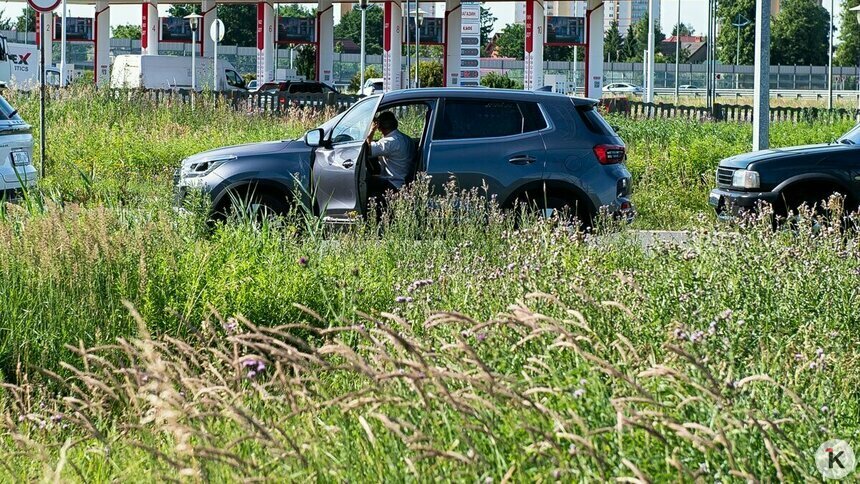 Шерин ответил на слухи об ухудшении качества бензина в Калининградской области - Новости Калининграда | Фото: Александр Подгорчук / Архив «Клопс»