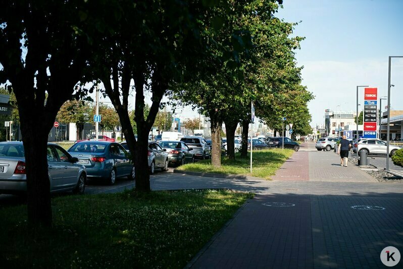 «Если не познакомимся, я уеду одна!»: яркие истории из очередей на калининградских АЗС - Новости Калининграда | Фото: Александр Подгорчук / «Клопс»