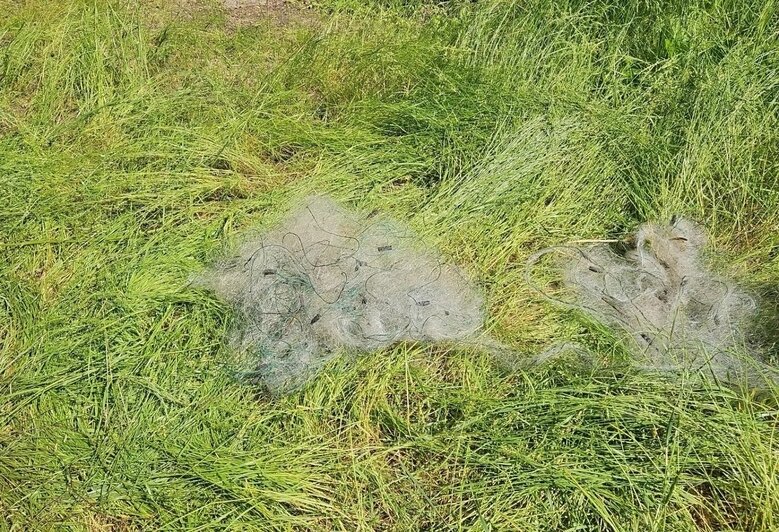 На Виштынце мужчина пришёл на озеро за рыбой, а вернулся без сетей и с перспективой уголовного дела - Новости Калининграда | Фото: национальный парк «Куршская коса»