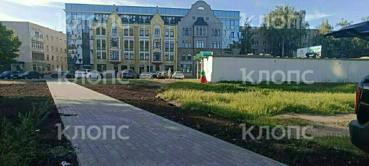В Калининграде будущий газон на Фрунзе стал бесплатной столовой для голубей (видео) - Новости Калининграда | Фото: «Клопс»