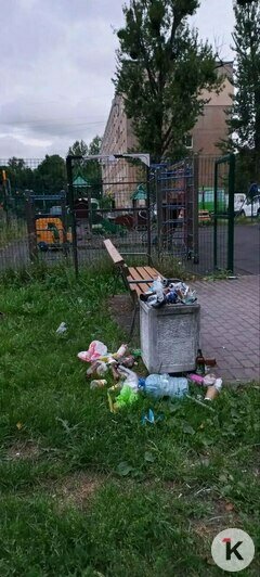 В историческом центре Калининграда по ночам появляются «арт-объекты», которые совсем не радуют жильцов (фото)     - Новости Калининграда | Фото: Надежда