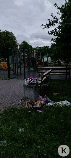 В историческом центре Калининграда по ночам появляются «арт-объекты», которые совсем не радуют жильцов (фото)     - Новости Калининграда | Фото: Надежда