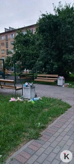 В историческом центре Калининграда по ночам появляются «арт-объекты», которые совсем не радуют жильцов (фото)     - Новости Калининграда | Фото: Надежда