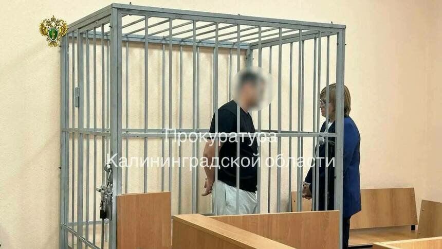 Водителя, сбившего насмерть трёхлетнего мальчика на окраине Калининграда, арестовали на 2 месяца - Новости Калининграда | Фото: прокуратура Калининградской области