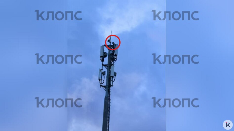 В Калининграде подросток залез на вышку ради куража на фоне зловещего заката (видео) - Новости Калининграда | Фото: очевидец