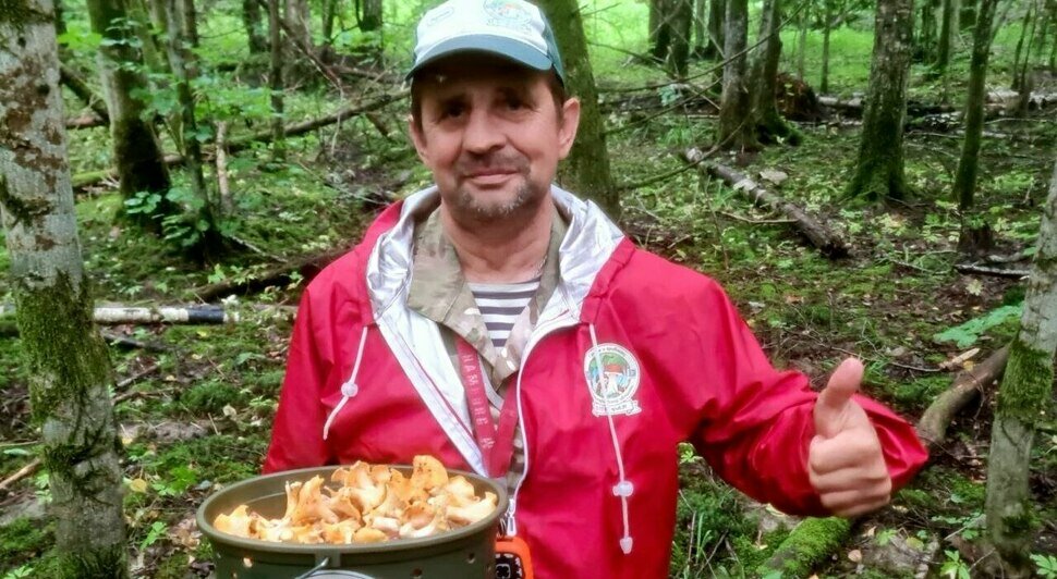 В Черняховском округе собирают вёдрами лисички и фотографируют полипорусы - Новости Калининграда | Фото: Николай Смирнов