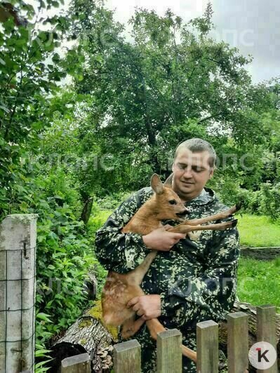 Копытное поймал и увез за город лесничий Евгений Лужковский | Фото: Алла