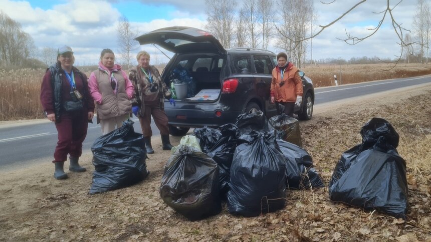 Субботники калининградские грибники проводят регулярно | Фото: Николай Смирнов