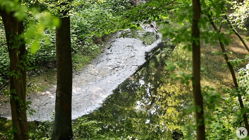 После очистки запах стал сильнее: в горсовете просят прокуратуру вмешаться в ситуацию с Гагаринским ручьём - Новости Калининграда | Фото: Александр Подгорчук / Архив «Клопс»