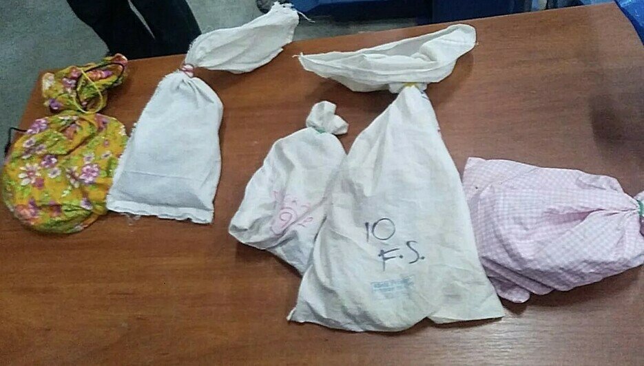 В Польшу из Калининграда пытались вывезти 37 редких ящериц стоимостью свыше 5,5 млн рублей (фото)   - Новости Калининграда | Фото: пресс-служба Федеральной таможенной службы