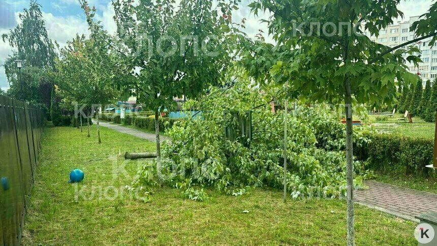 Место происшествия  | Фото: очевидец