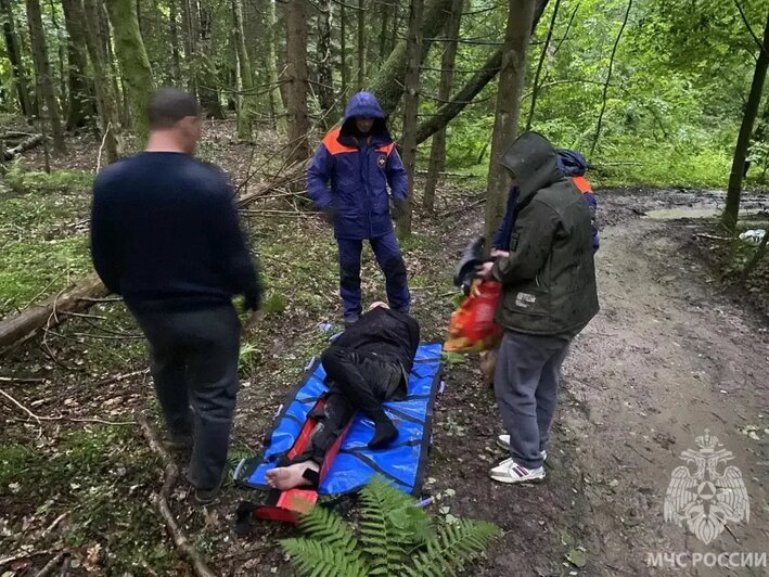 В Зеленоградском округе спасатели прошли с носилками 1,5 км, чтобы помочь неудачно упавшему в лесу рыбаку - Новости Калининграда | Фото: МЧС Калининградской области / «Макс»