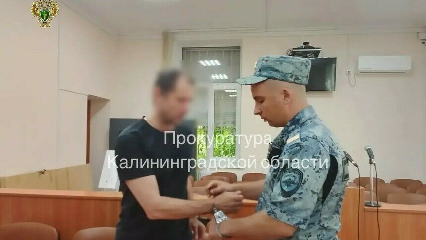 В Калининграде мужчину отправили в колонию строгого режима за неуплату алиментов - Новости Калининграда | Фото: прокуратура Калининградской области