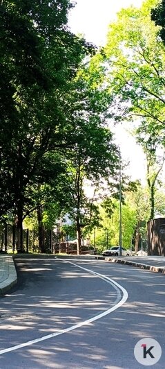 Чистое небо, изящный забор и зелёные круги: как изменилась улица Галицкого после ремонта (фото)   - Новости Калининграда | Фото: «Клопс»