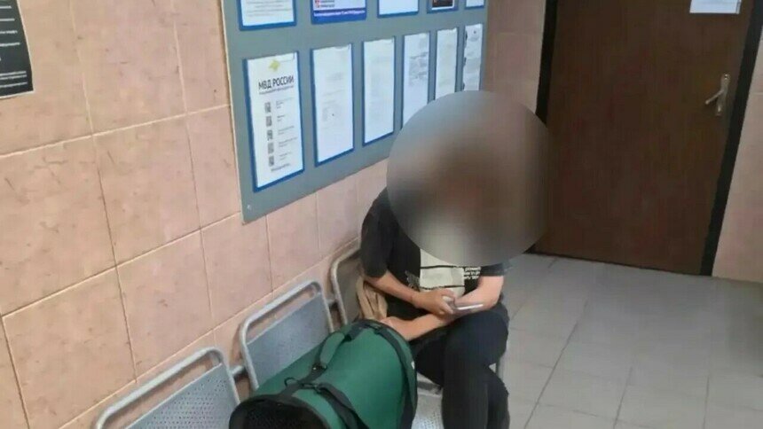 В Светлогорске женщина предлагала туристам фото с голубями без оформления бизнеса   - Новости Калининграда | Фото: УМВД России по Калининградской области