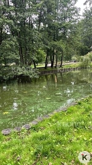 Затянуло мутной тиной: в Зеленоградске пруд Тортилы зацвёл и стал источать сказочное зловоние (фото)  - Новости Калининграда | Фото: Оливия