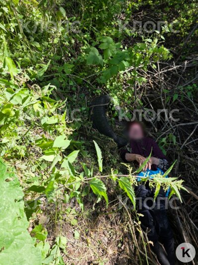 Дочь пенсионерки поблагодарила всех, кто участвовал в поисках мамы  | Фото: очевидец