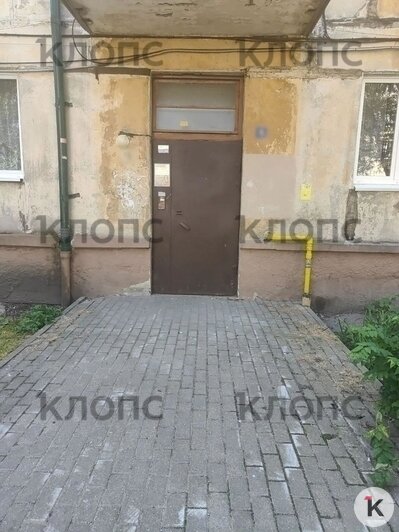 «Запах из квартиры, будто там труп»: жильцы дома в Калининграде ополчились на соседку   - Новости Калининграда | Фото: Анастасия