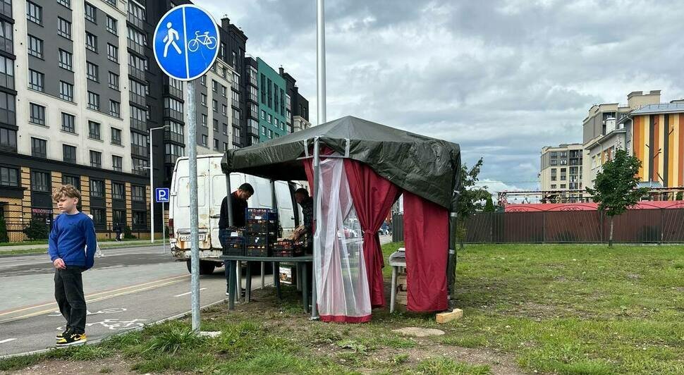 «Недавно сделали велодорожку — теперь там палатка»: калининградка пожаловалась на торговлю в районе Артиллерийской - Новости Калининграда | Фото: «Клопс»