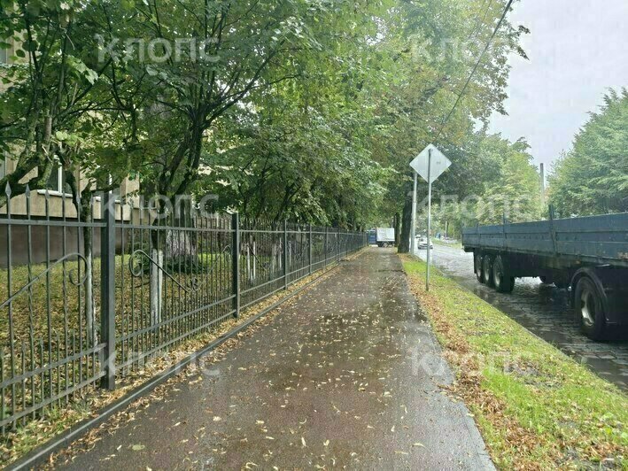 В Калининграде на проспекте Победы возобновили ремонт тротуара: жители опасаются за судьбу деревьев (фото)    - Новости Калининграда | Фото: очевидец