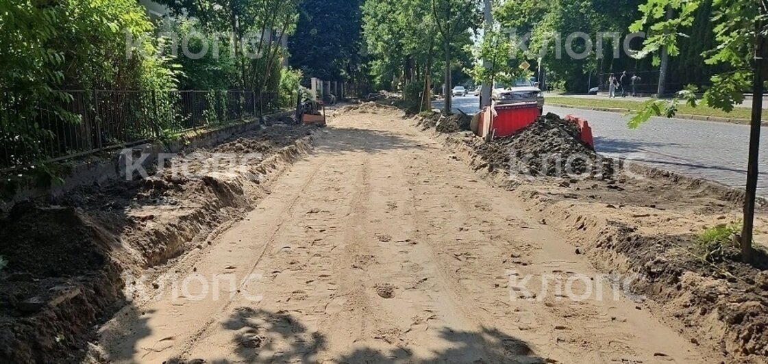 В Калининграде на проспекте Победы возобновили ремонт тротуара: жители опасаются за судьбу деревьев (фото)    - Новости Калининграда | Фото: очевидец
