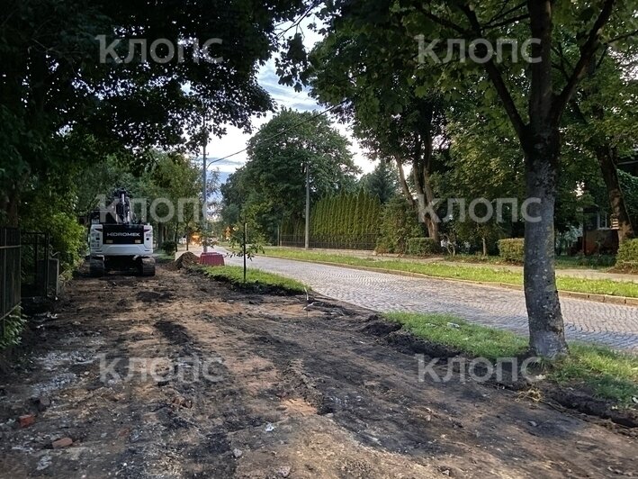 В Калининграде на проспекте Победы возобновили ремонт тротуара: жители опасаются за судьбу деревьев (фото)    - Новости Калининграда | Фото: очевидец