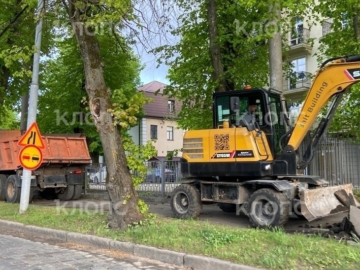 В Калининграде на проспекте Победы возобновили ремонт тротуара: жители опасаются за судьбу деревьев (фото)    - Новости Калининграда | Фото: очевидец