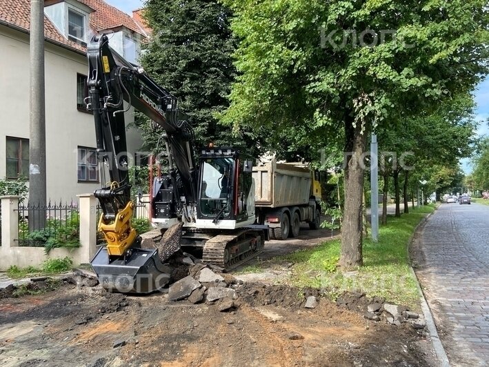 В Калининграде на проспекте Победы возобновили ремонт тротуара: жители опасаются за судьбу деревьев (фото)    - Новости Калининграда | Фото: очевидец