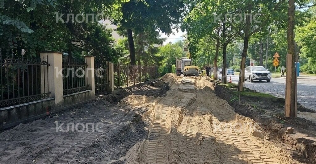 В Калининграде на проспекте Победы возобновили ремонт тротуара: жители опасаются за судьбу деревьев (фото)    - Новости Калининграда | Фото: очевидец