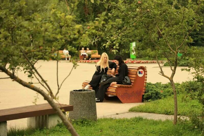 На Летнем озере появились скамейки-диваны для горожан, которым тяжело сидеть без спинки - Новости Калининграда | Фото: канал сити-менеджера Калининграда Елены Дятловой / Телеграм