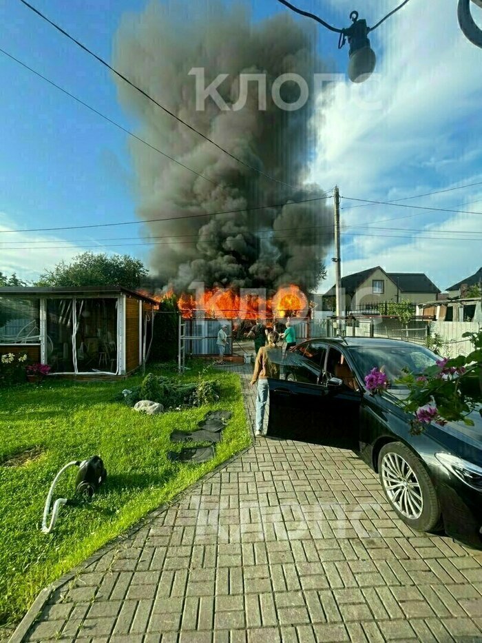Утонувший в Янтарном 13-летний подросток и задержание блогера, чуть не утопившего детей в Преголе: событий, которые обсуждали в выходные   - Новости Калининграда | Фото: очевидцы