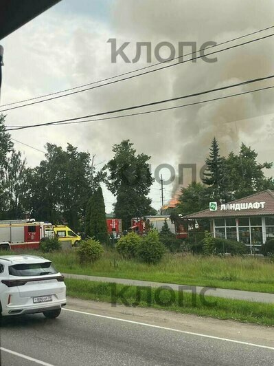 Утонувший в Янтарном 13-летний подросток и задержание блогера, чуть не утопившего детей в Преголе: событий, которые обсуждали в выходные   - Новости Калининграда | Фото: очевидцы