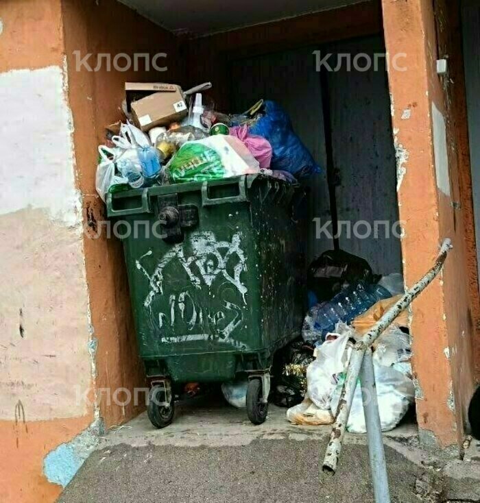 Вонь и насекомые: 6 мест в Калининграде, где в борьбе за место под солнцем выиграл мусор (фото, видео)   - Новости Калининграда | Фото: предоставила местная жительница