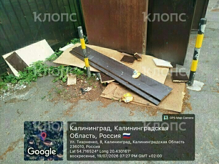 Вонь и насекомые: 6 мест в Калининграде, где в борьбе за место под солнцем выиграл мусор (фото, видео)   - Новости Калининграда | Фото: Марина Миркина