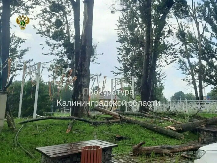 Прокуратура начала проверку после гибели рабочего, сорвавшегося с высоты в парке Багратионовска - Новости Калининграда | Фото: канал прокуратуры Калининградской области / Макс