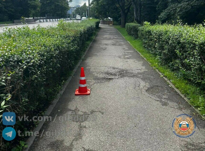 В центре Калининграда самокатчик сбил женщину на тротуаре и сбежал - Новости Калининграда | Фото: Госавтоинспекция Калининградской области